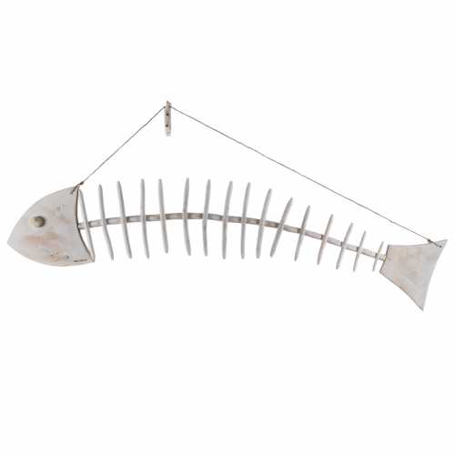Barakuda riblja kost PAVI DECOR