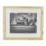 Immagine Volkswagen PAVI DECOR